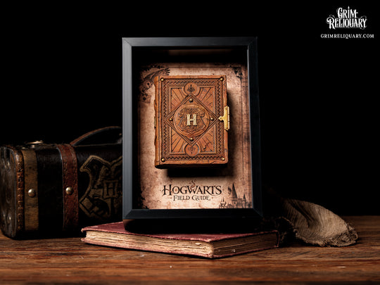 Hogwarts Field Guide Framed Display