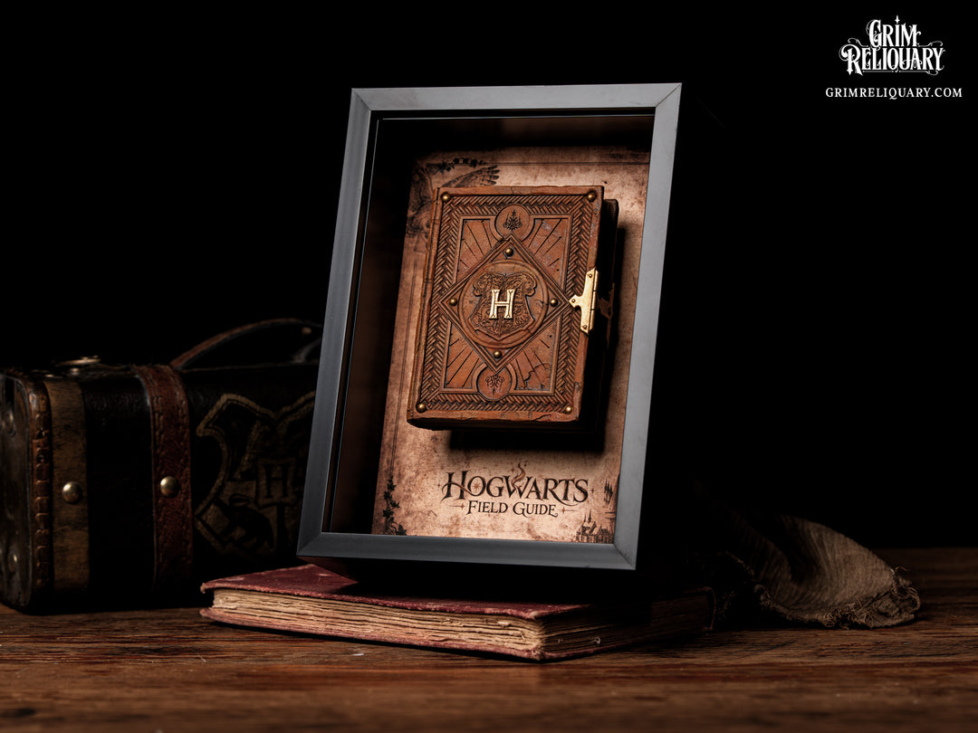 Hogwarts Field Guide Framed Display