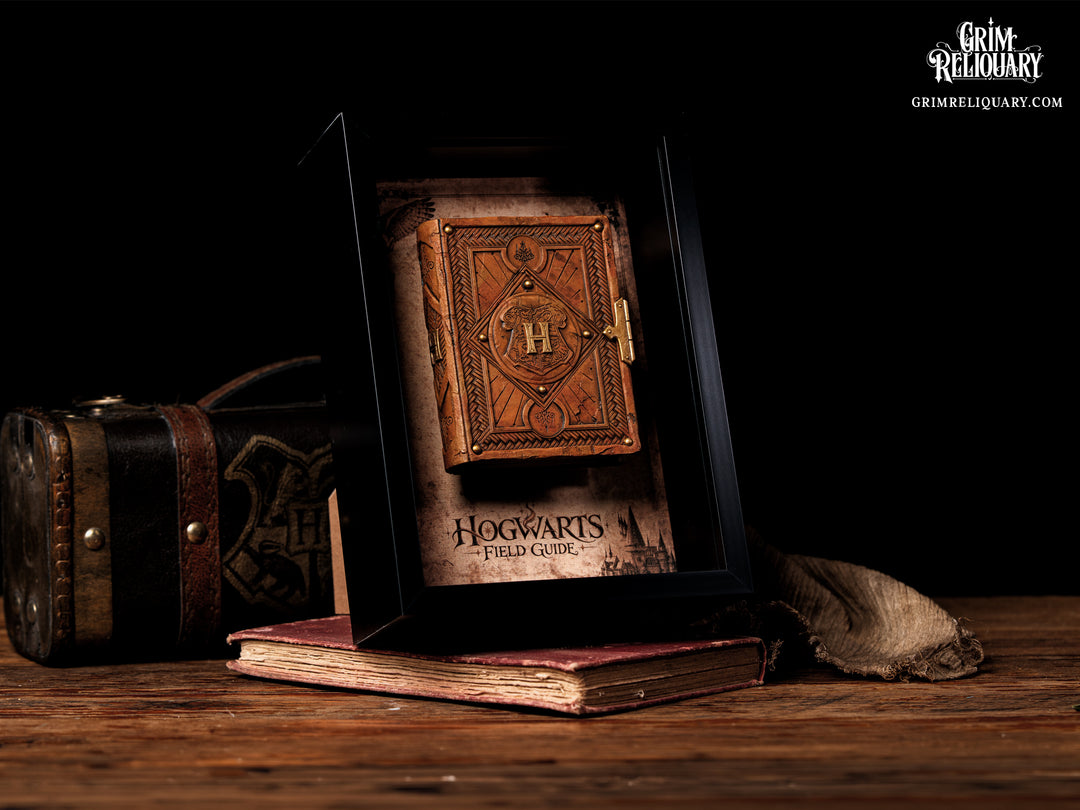 Hogwarts Field Guide Framed Display