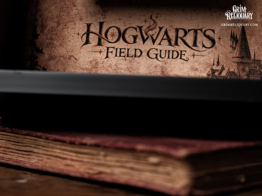 Hogwarts Field Guide Framed Display