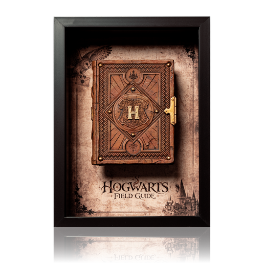 Hogwarts Field Guide Framed Display