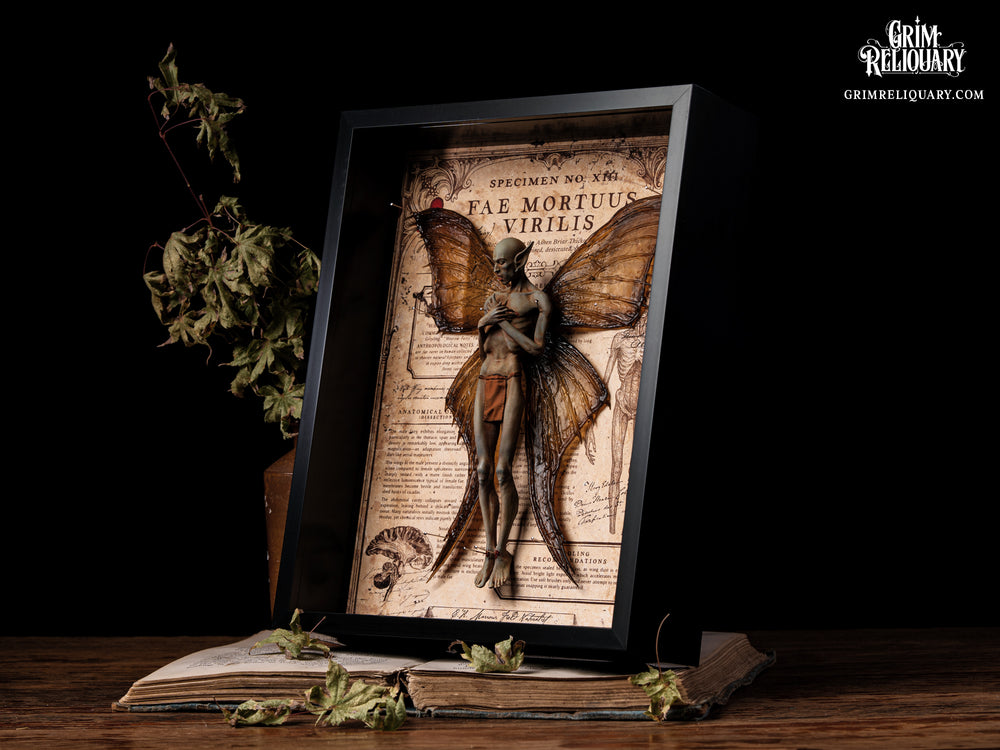 Male Dead Fairy Framed Display