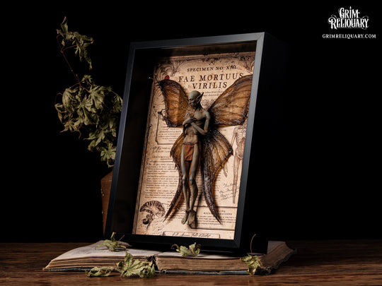 Male Dead Fairy Framed Display