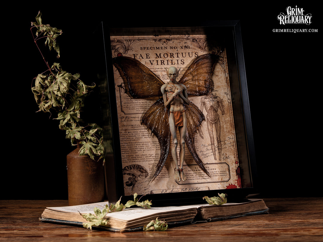 Male Dead Fairy Framed Display