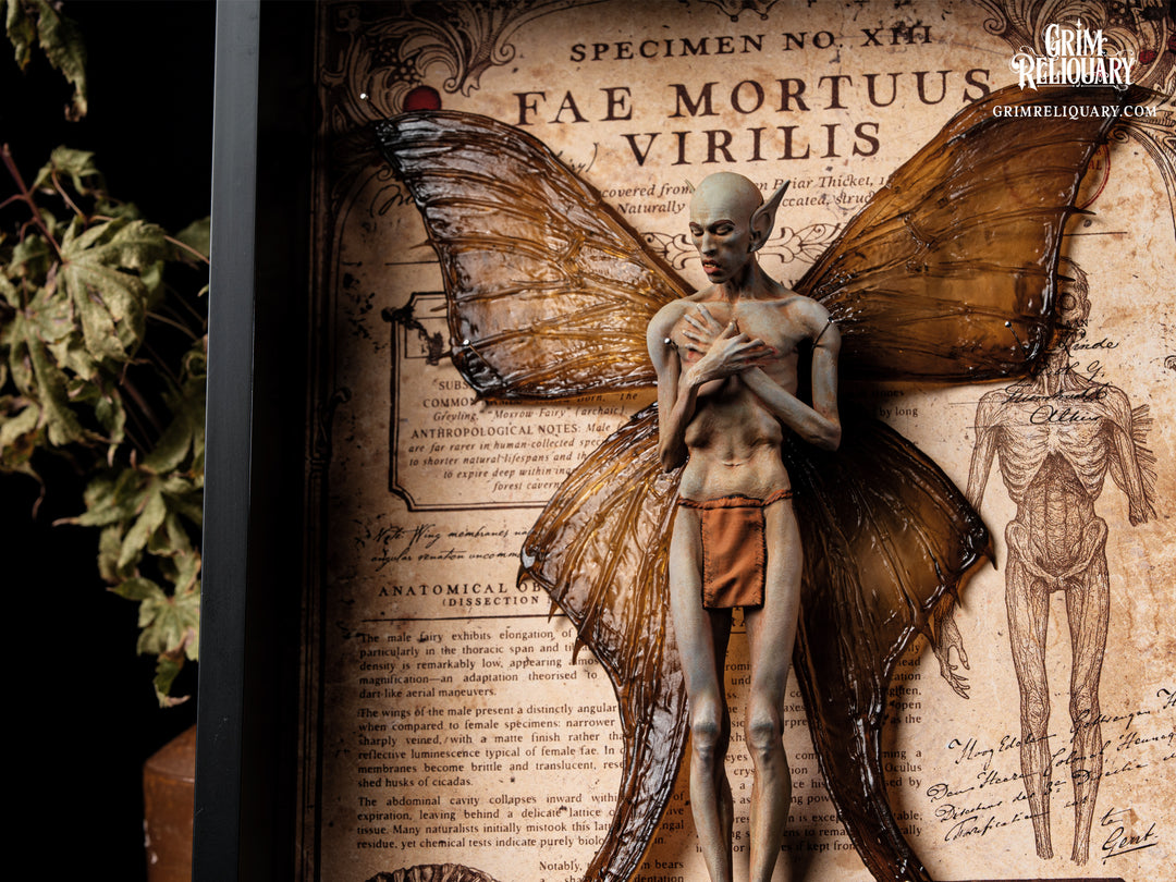 Male Dead Fairy Framed Display