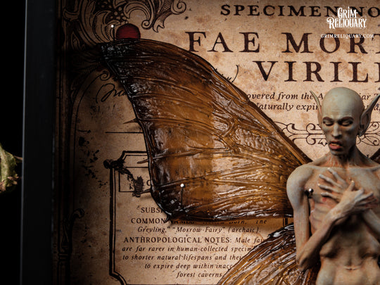 Male Dead Fairy Framed Display