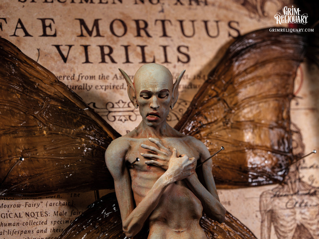 Male Dead Fairy Framed Display