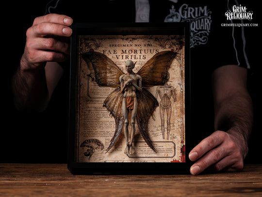 Male Dead Fairy Framed Display