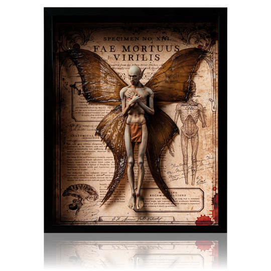 Male Dead Fairy Framed Display