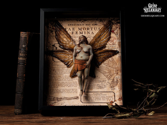 Female Dead Fairy Framed Display