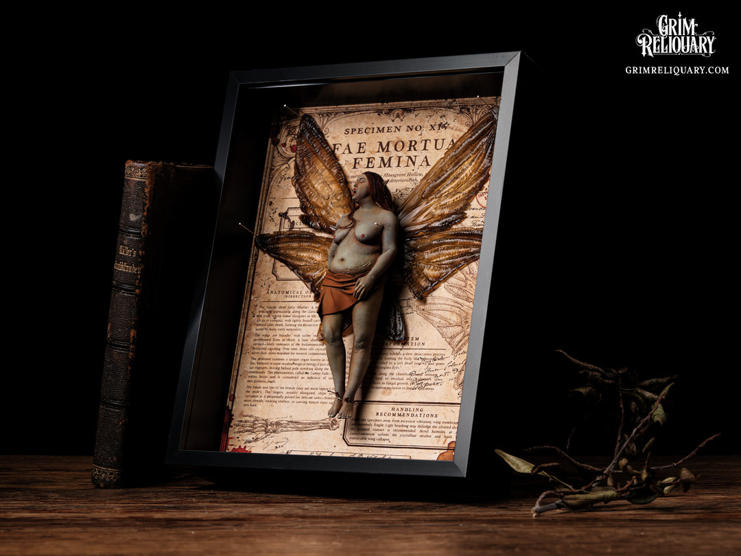 Female Dead Fairy Framed Display