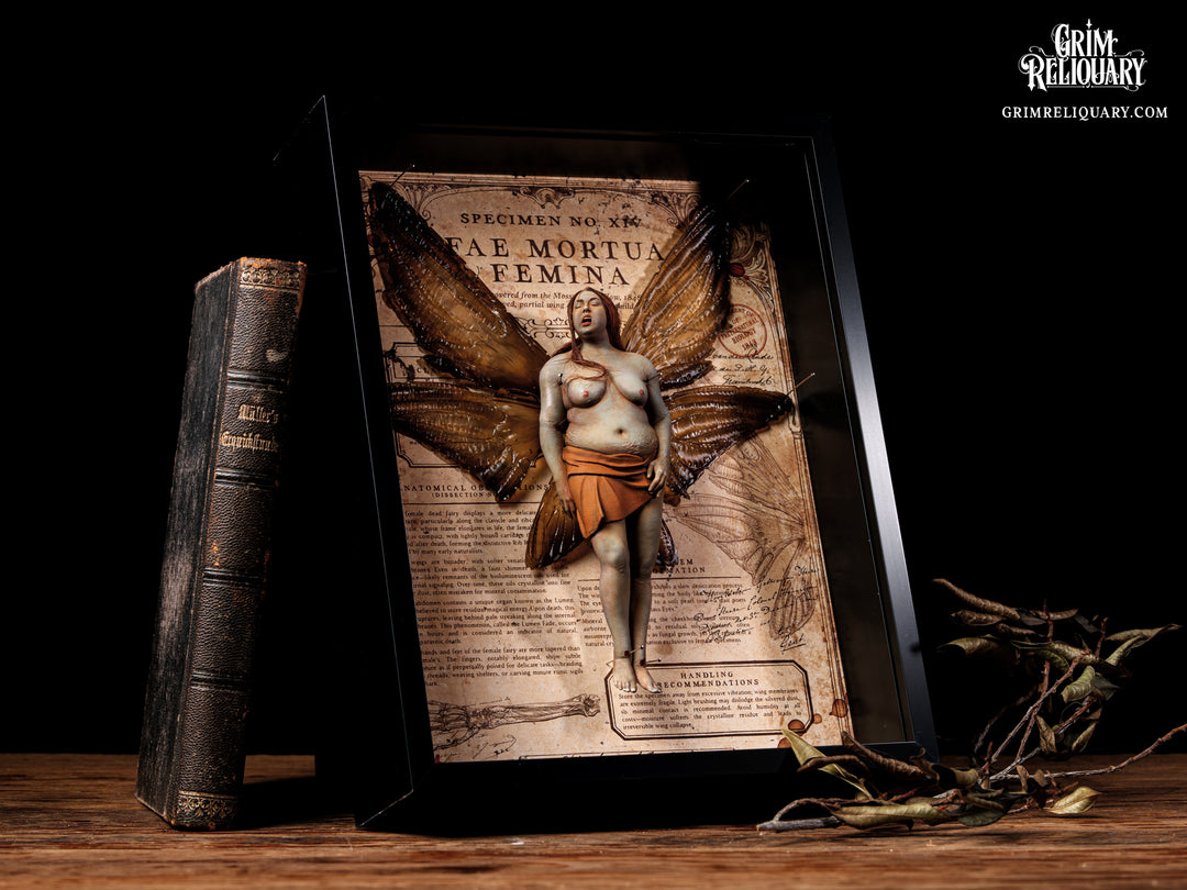 Female Dead Fairy Framed Display