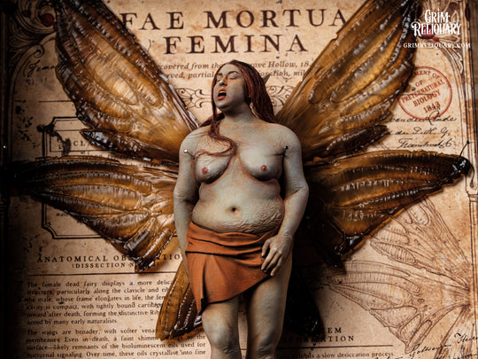 Female Dead Fairy Framed Display