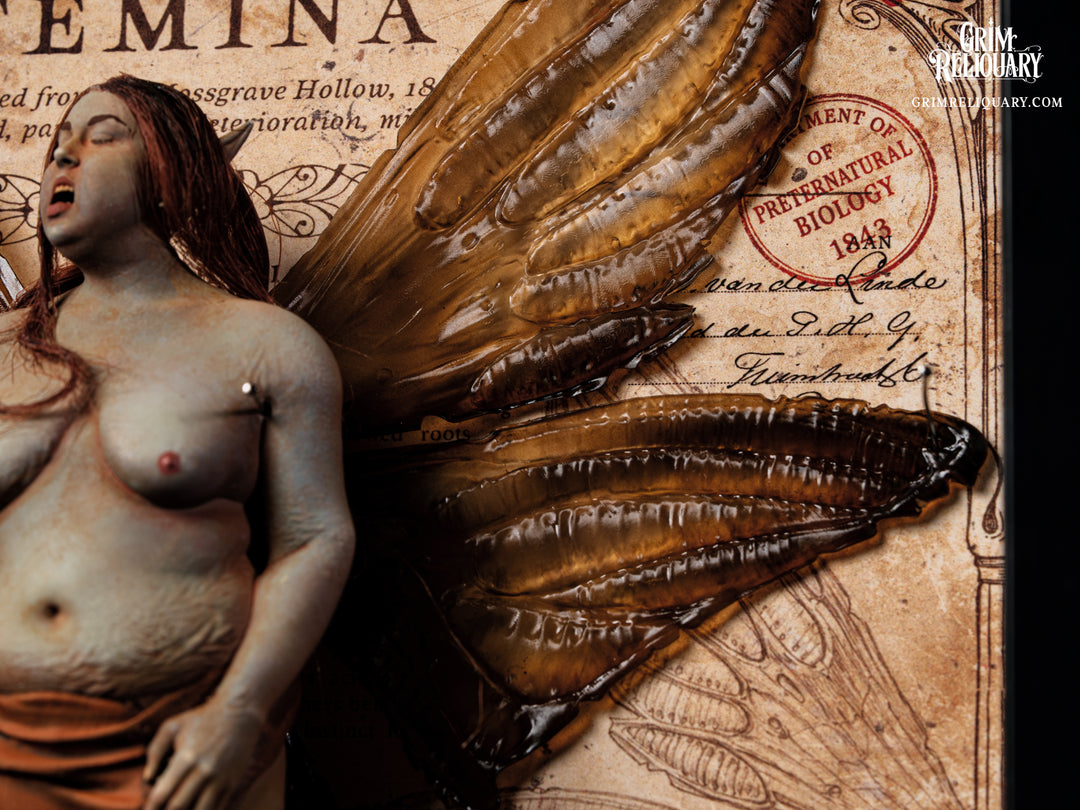Female Dead Fairy Framed Display