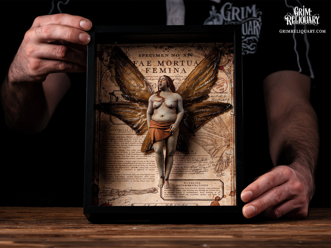 Female Dead Fairy Framed Display
