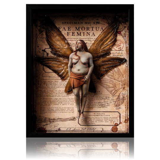 Female Dead Fairy Framed Display