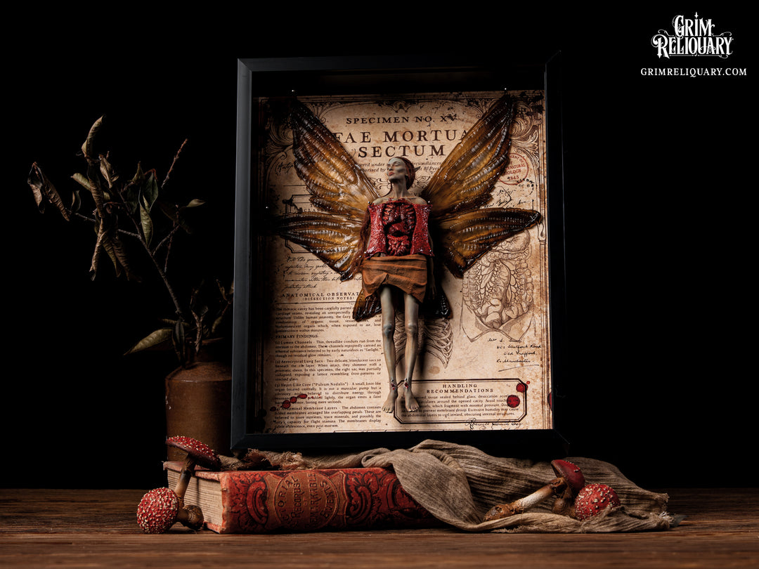 Autopsied Dead Fairy Framed Display