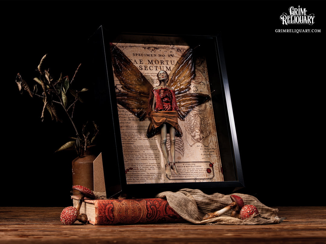 Autopsied Dead Fairy Framed Display