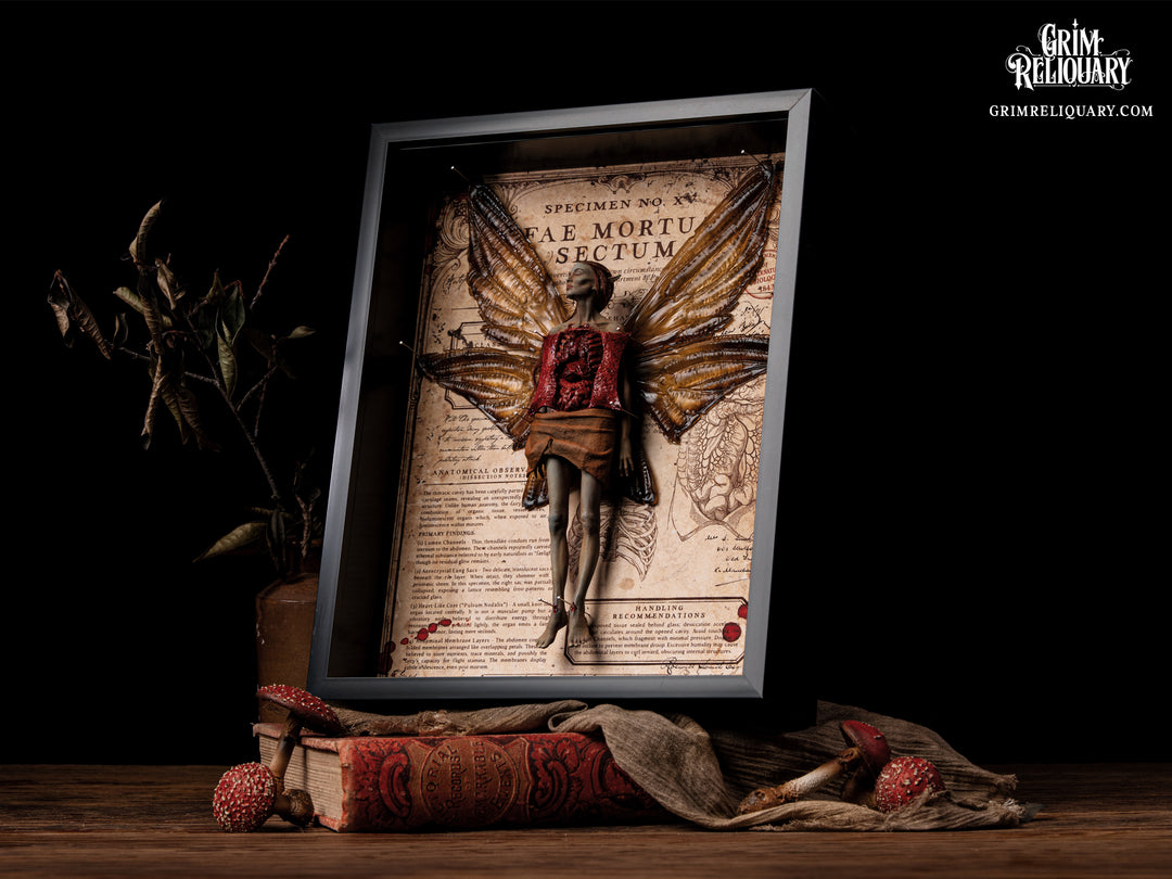 Autopsied Dead Fairy Framed Display
