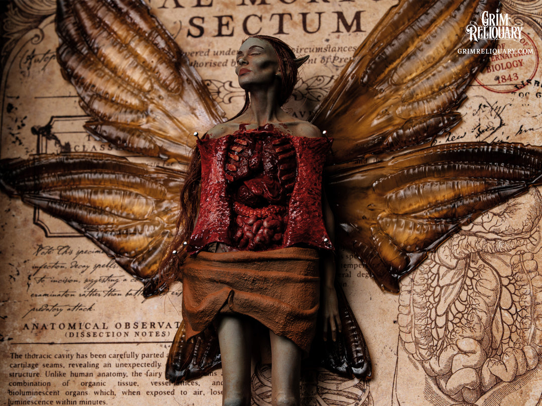 Autopsied Dead Fairy Framed Display