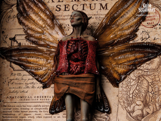 Autopsied Dead Fairy Framed Display