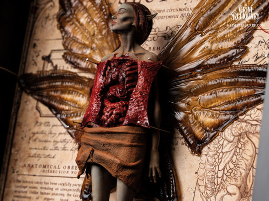 Autopsied Dead Fairy Framed Display