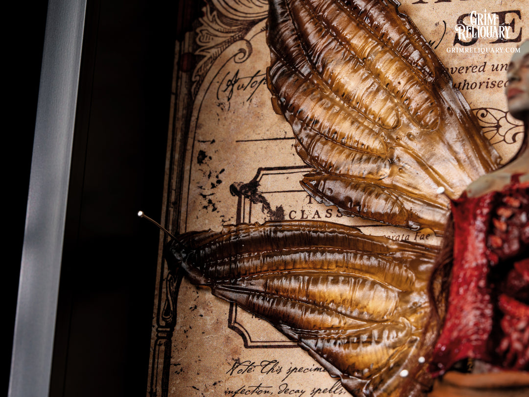 Autopsied Dead Fairy Framed Display