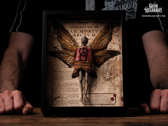 Autopsied Dead Fairy Framed Display