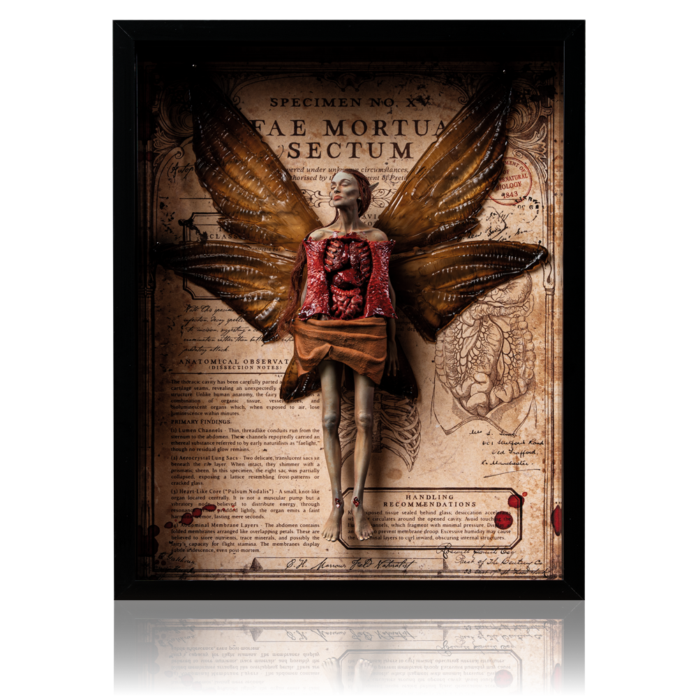 Autopsied Dead Fairy Framed Display
