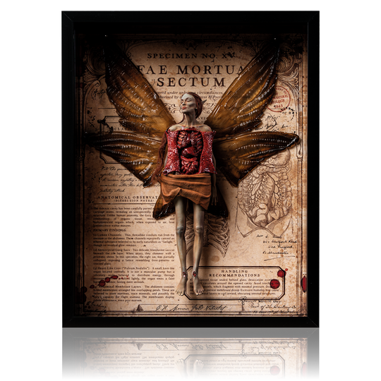 Autopsied Dead Fairy Framed Display