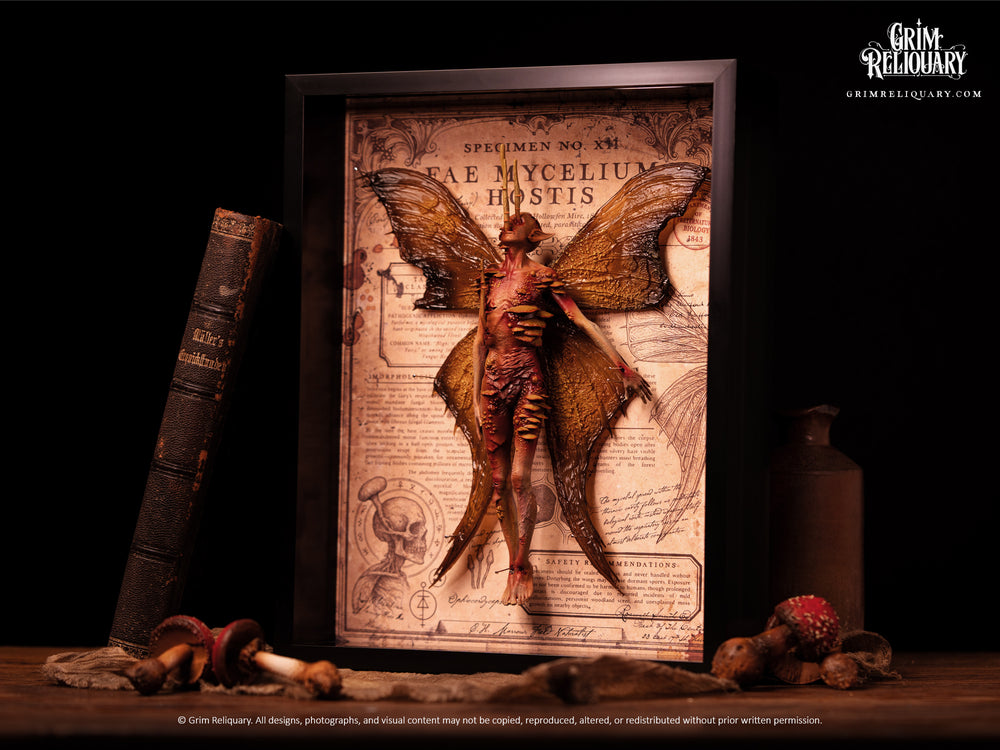 Cordyceps Infected Dead Fairy Framed Display