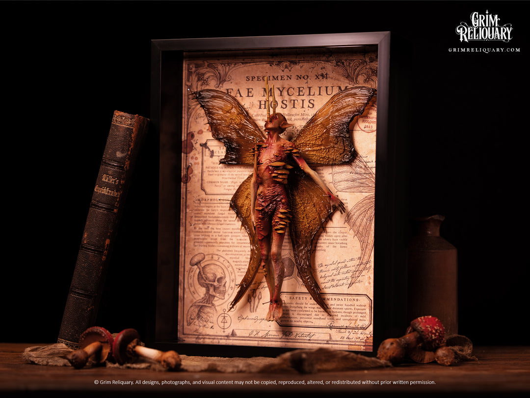 Cordyceps Infected Dead Fairy Framed Display