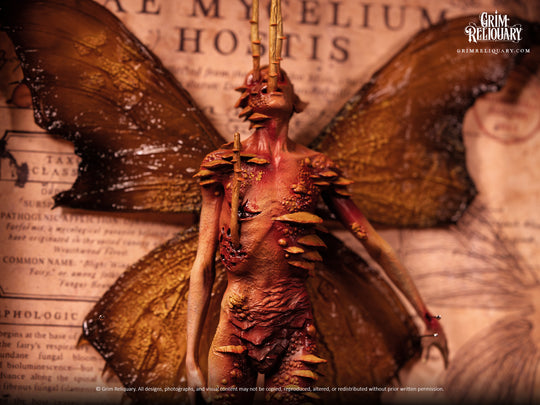 Cordyceps Infected Dead Fairy Framed Display