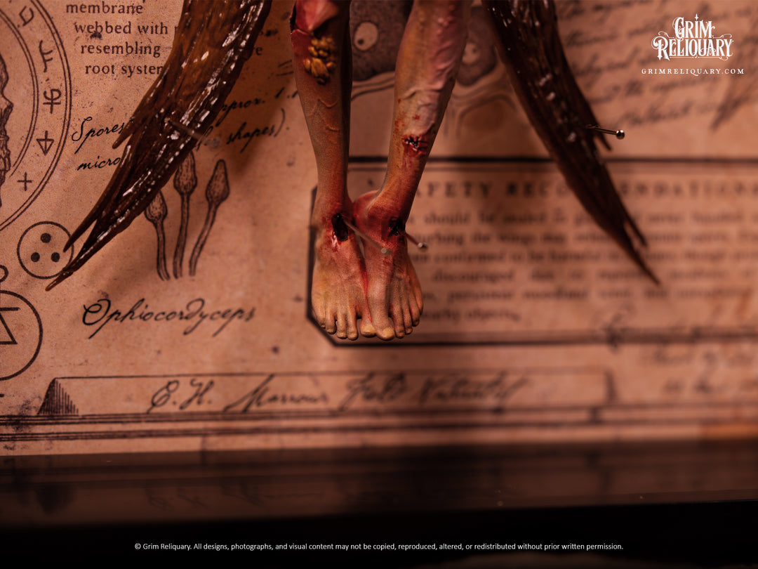 Cordyceps Infected Dead Fairy Framed Display