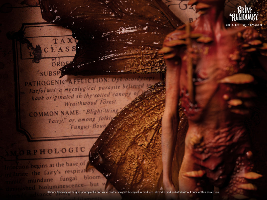Cordyceps Infected Dead Fairy Framed Display