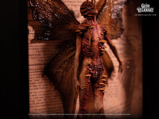 Cordyceps Infected Dead Fairy Framed Display
