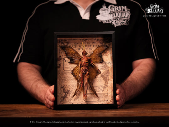 Cordyceps Infected Dead Fairy Framed Display