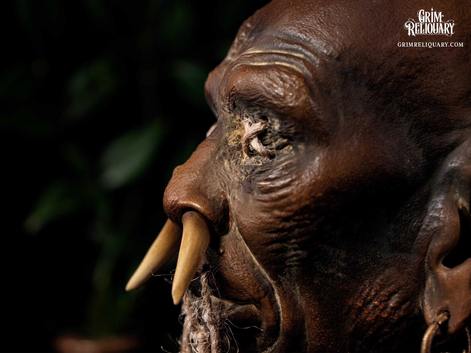Ixchel Shrunken Head Artefact