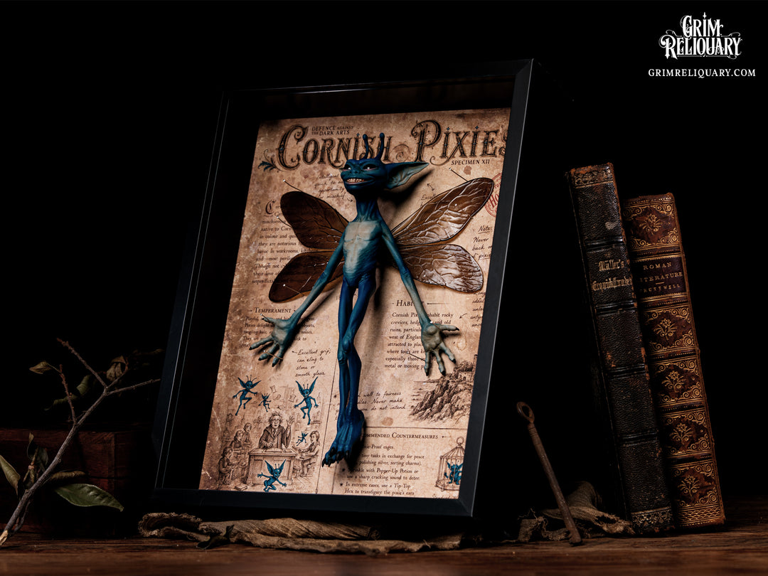 Cornish Pixie Framed Display