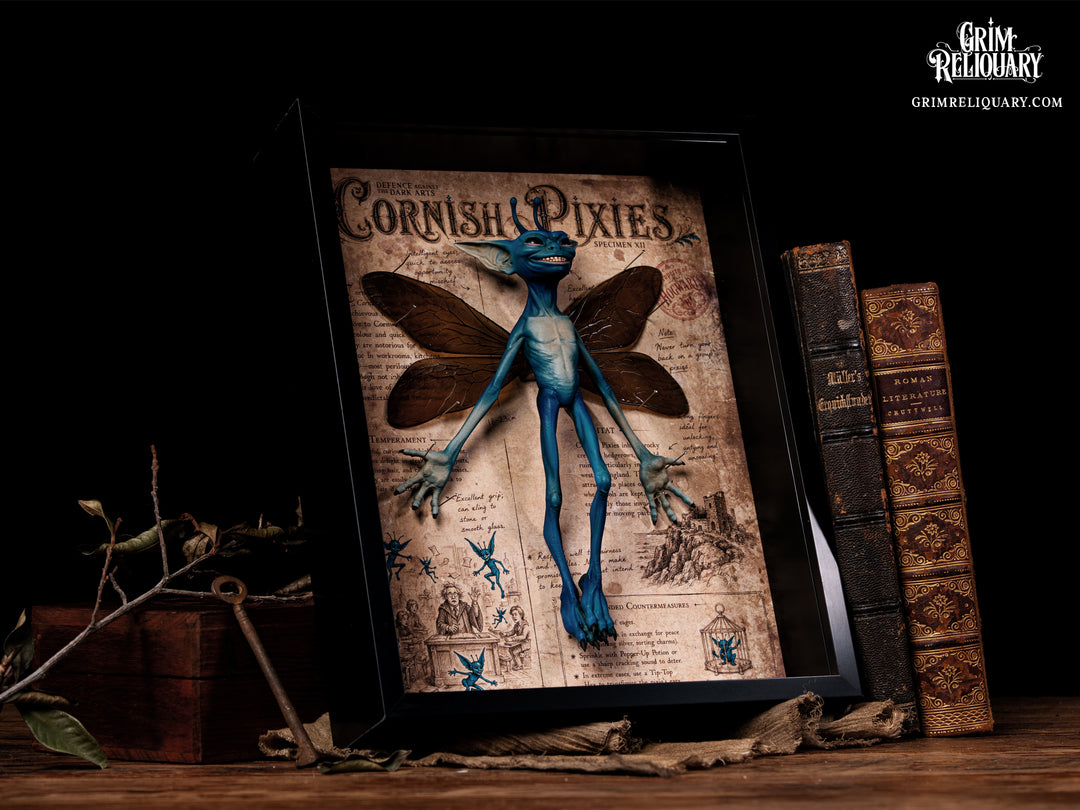 Cornish Pixie Framed Display