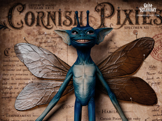 Cornish Pixie Framed Display