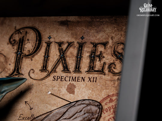 Cornish Pixie Framed Display