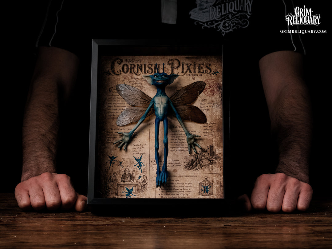 Cornish Pixie Framed Display