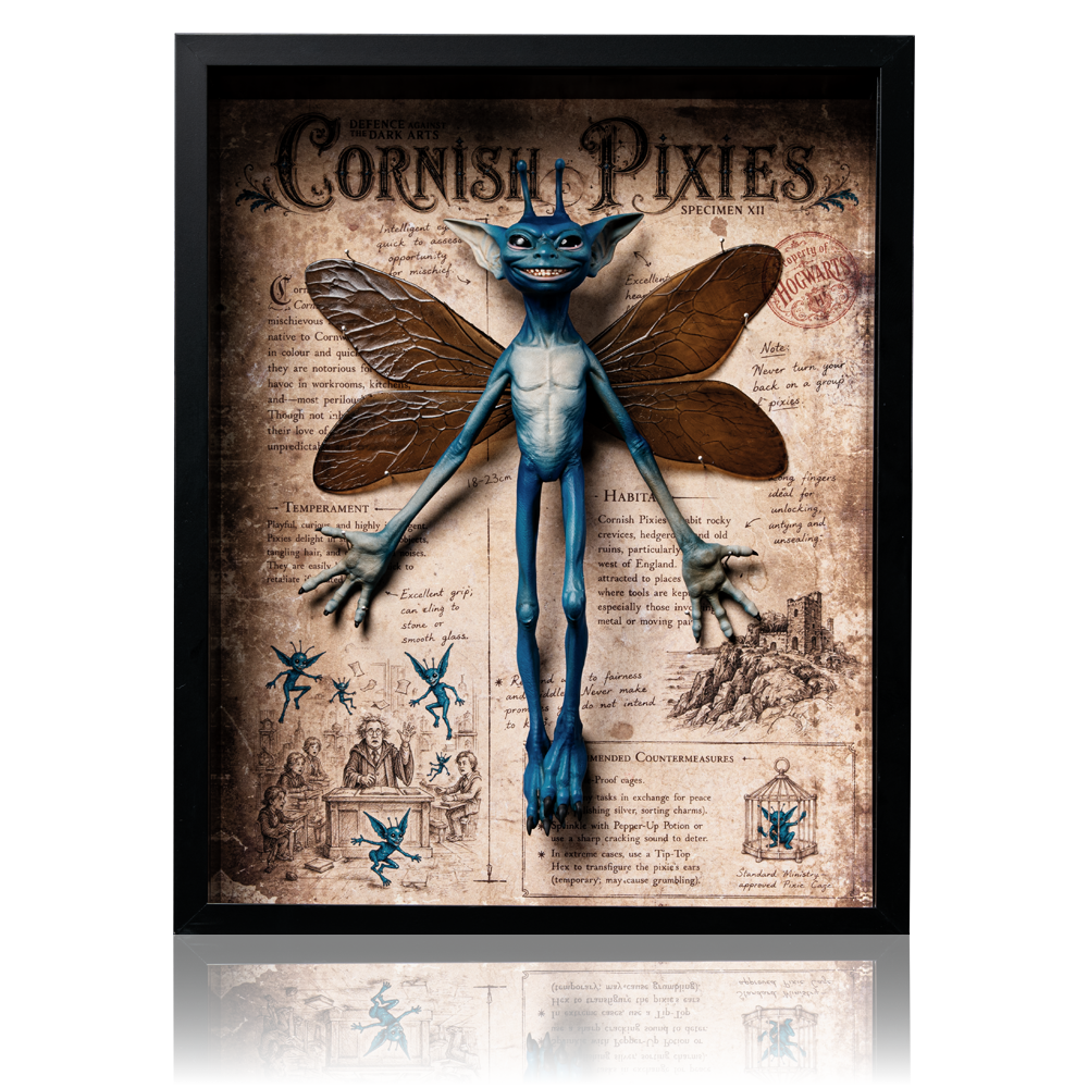 Cornish Pixie Framed Display