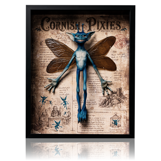 Cornish Pixie Framed Display