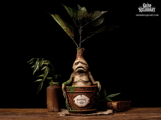 Mandrake Figure