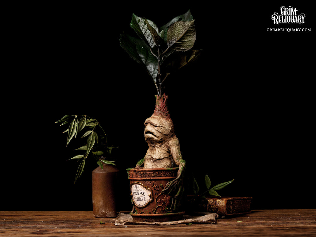 Mandrake Figure