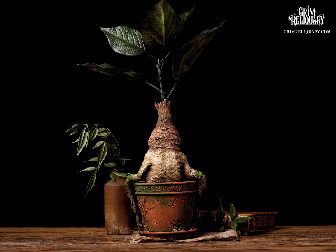 Mandrake Figure
