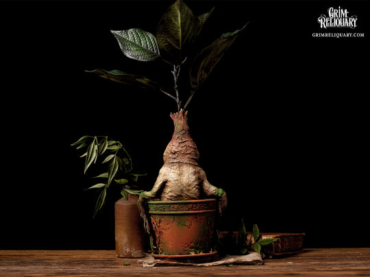Mandrake Figure