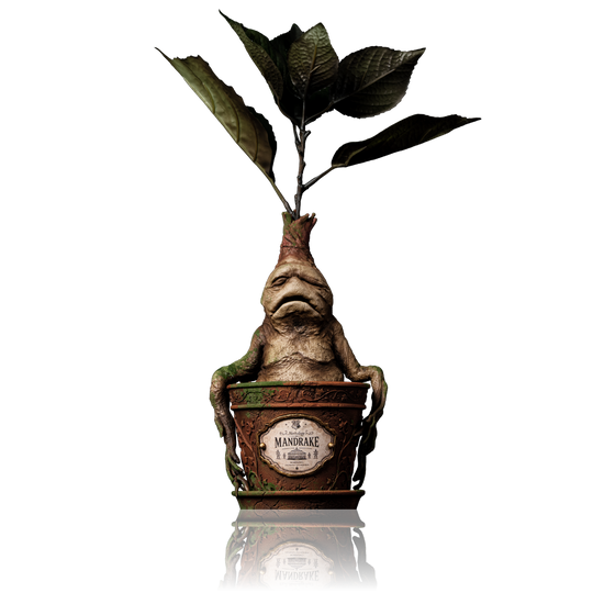 Mandrake Figure